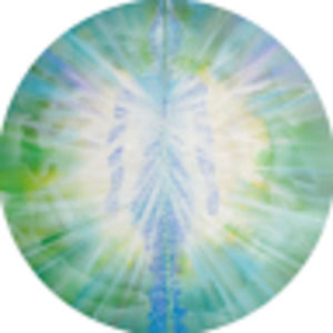 Meet your Posher, Dayna